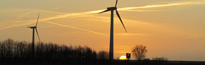 Windkraftanlagen bei Hülsing (Foto: Kenneth Witt)